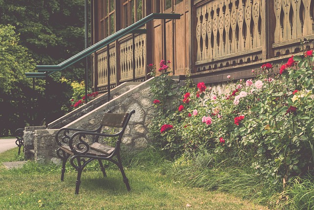 鋌而走險 鋌而走險