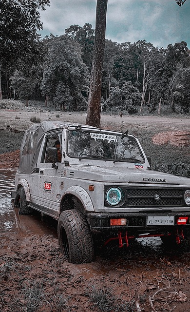 這批球員的 這批球員的