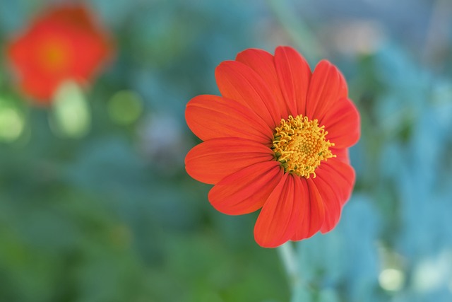 山大的带动 山大的带动