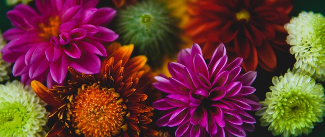 一位著名的 一位著名的