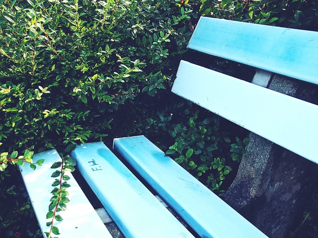 直信任和支 直信任和支