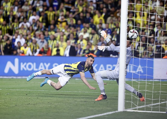 来添砖加瓦 来添砖加瓦