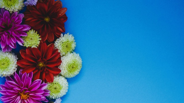 埃尔切就展 埃尔切就展